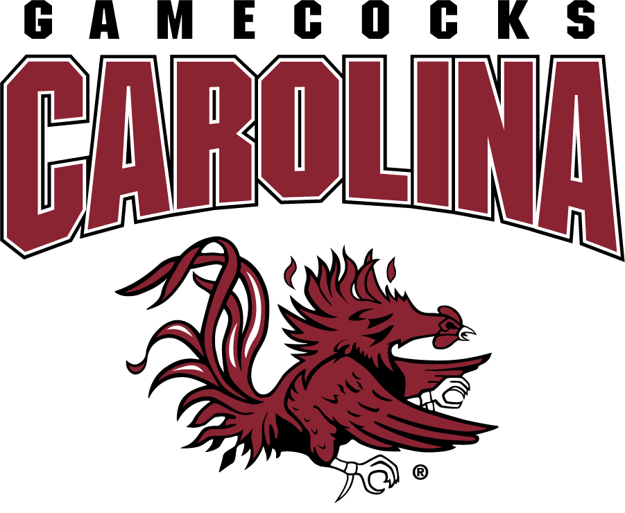 South Carolina Gamecocks 2008-2018 Alternate Logo v3 diy iron on heat transfer